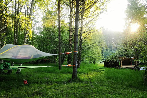 A tentsile in the middle of a wooded area iluminated by the morning sun